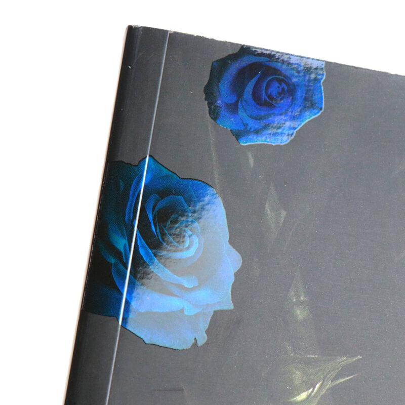 Spot UV Coating Special Edition Paperback Novel with Sprayed Edges 8