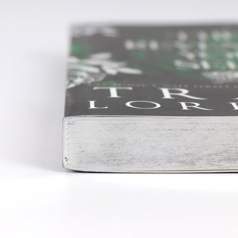 Foil Cover Novel Book Printing Paperback with Silver Sprayed Edges 10