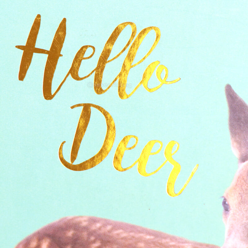 Personalized Journal Hardcover Notebook Printing in China 8