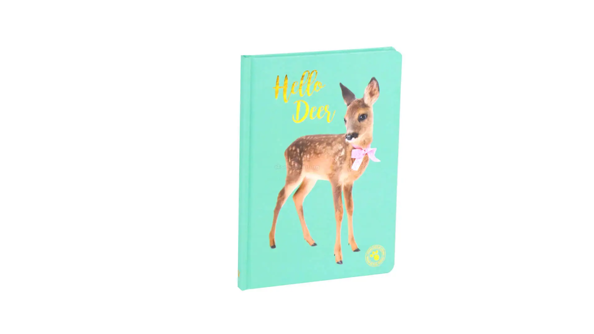 Personalized Journal Hardcover Notebook Printing in China 1