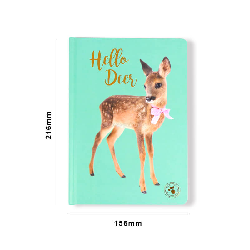 Personalized Journal Hardcover Notebook Printing in China 6