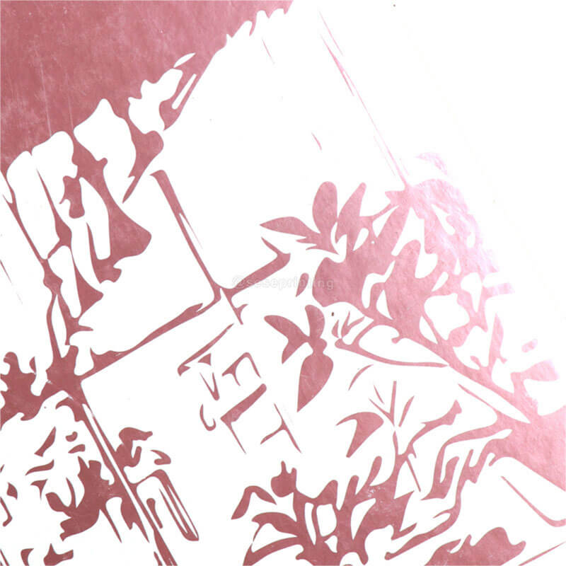 Special Edition Magic Novels Printing Stenciled Edges and Endpapers 9