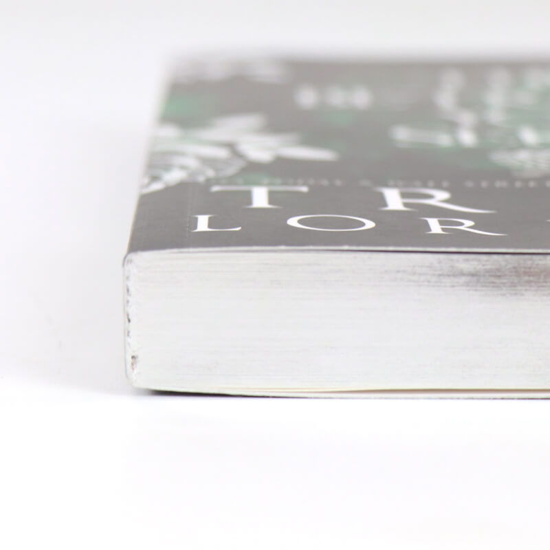 Custom Foiled Paperback Fiction Novel Printing with Sprayed Edges 10