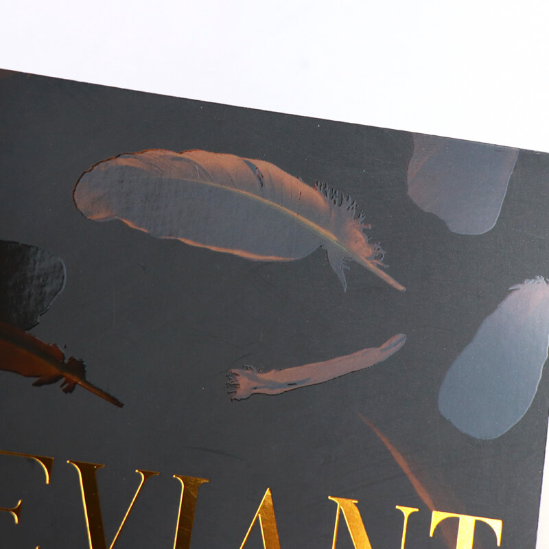 Custom Printing UV Coating Paperback Novel with Gold Foiled Edges 9