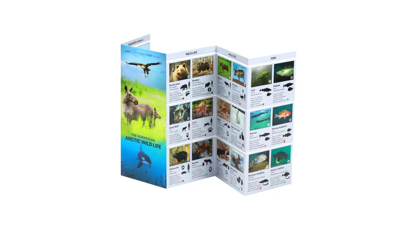 Folding Brochure Printing Coated Paper Leaflet Flyers For Business 1