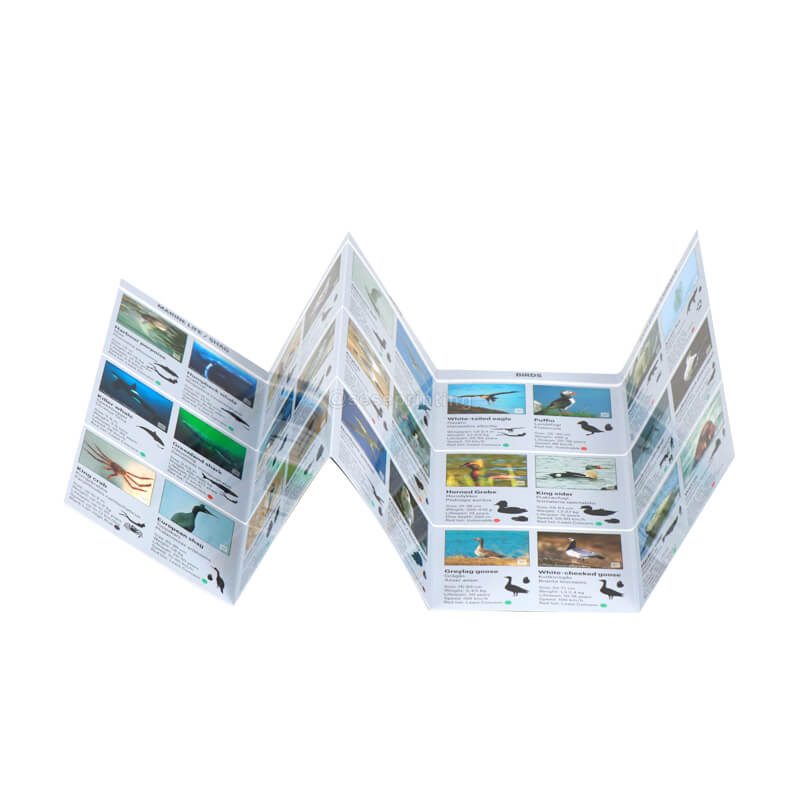 Folding Brochure Printing Coated Paper Leaflet Flyers For Business 8