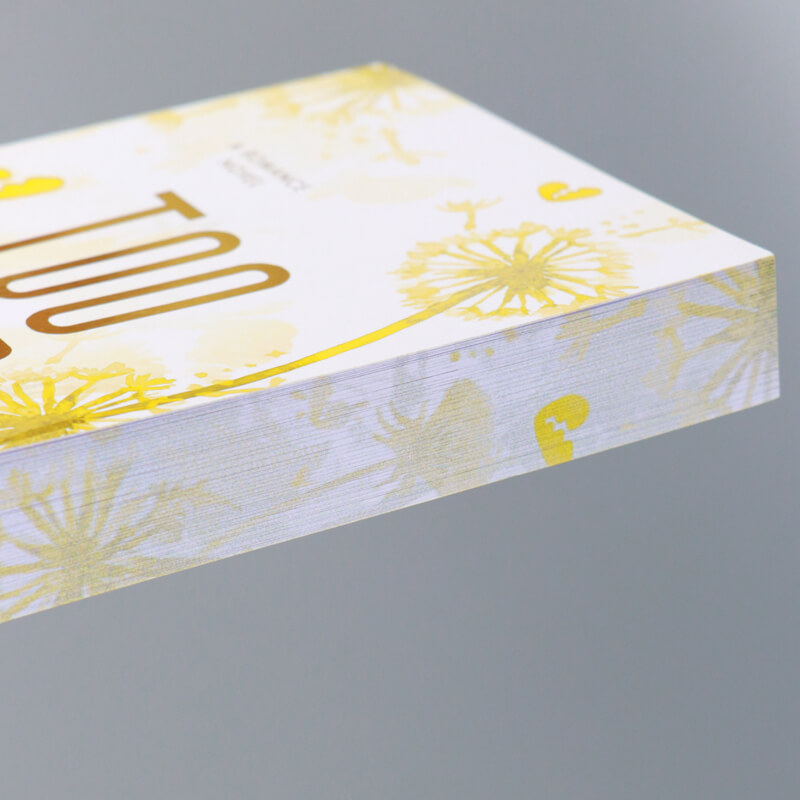 Foil Stamping Special Edition Paperback Novels with Sprayed Edges 9