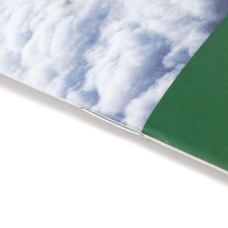 Professional Magazine Booklet Printing Saddle Stitching Brochure 9