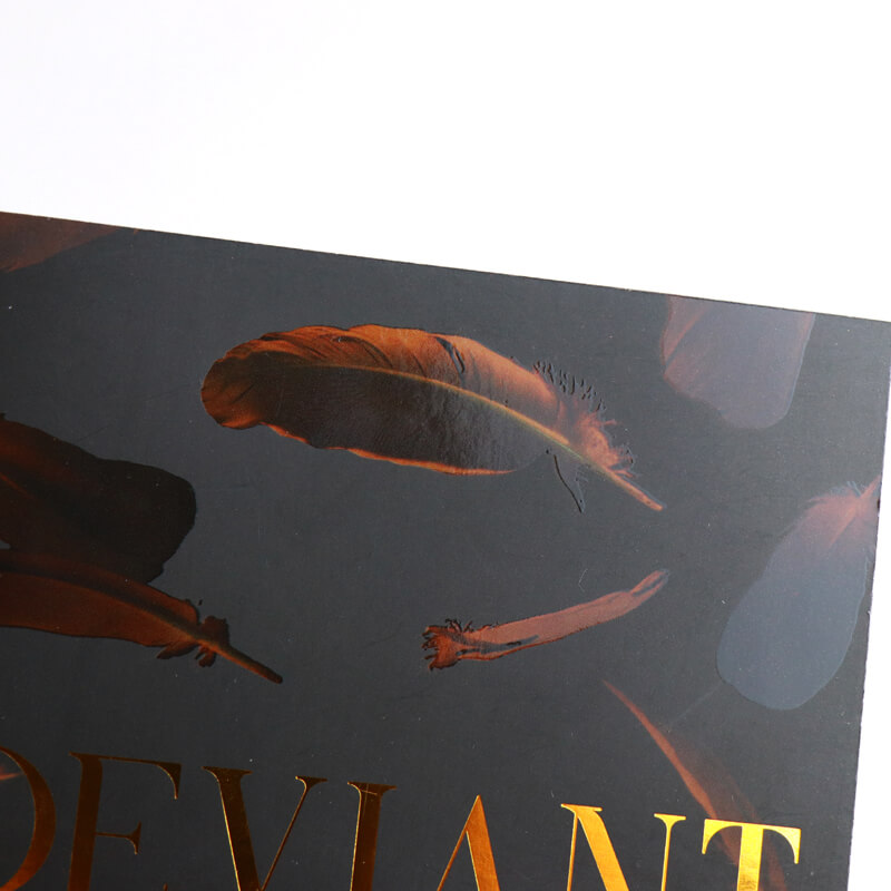 Perfect Bound Novels Printing Sprayed Edges and Spot UV Coating 8