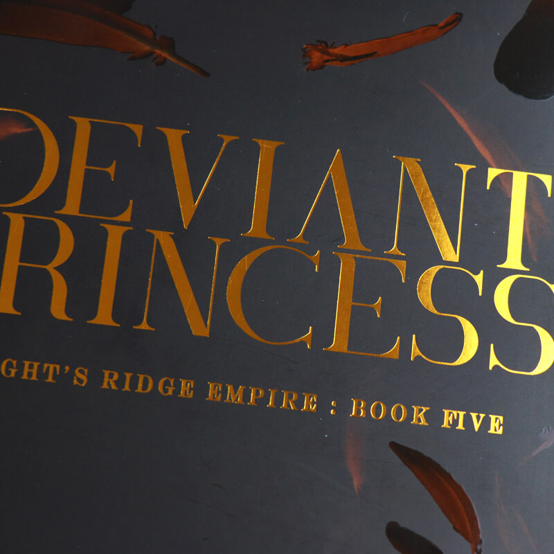 Perfect Bound Novels Printing Sprayed Edges and Spot UV Coating 9