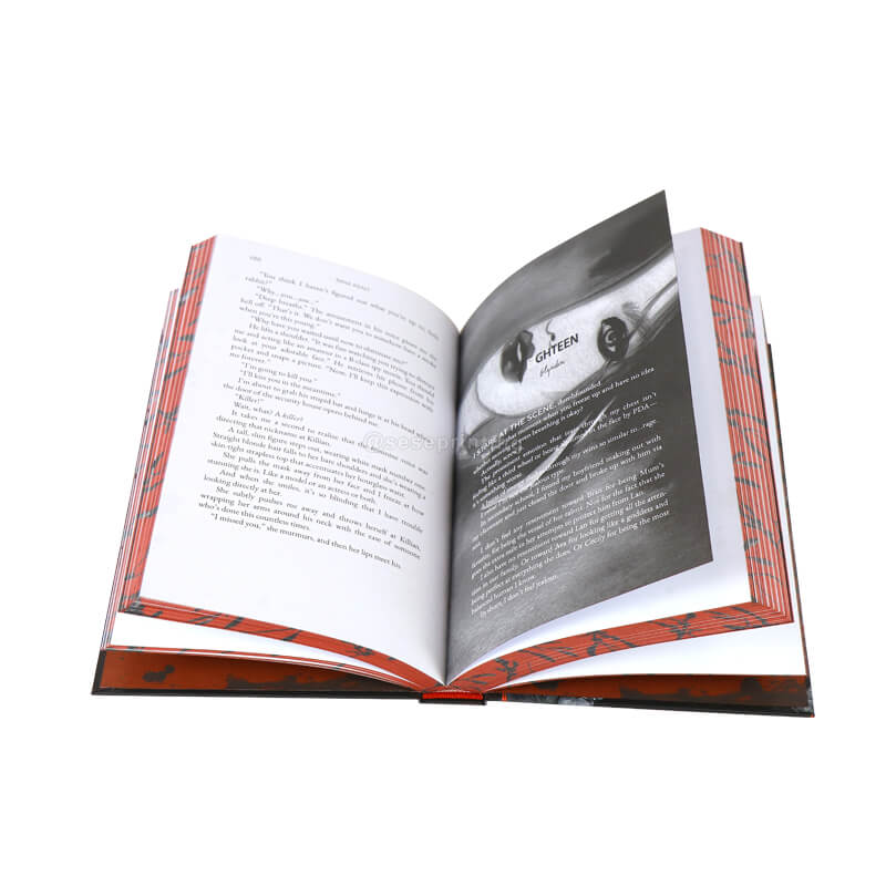 Hardcover-Fantasybuch, Dark Romance, Druck mit Farbschnitt 8