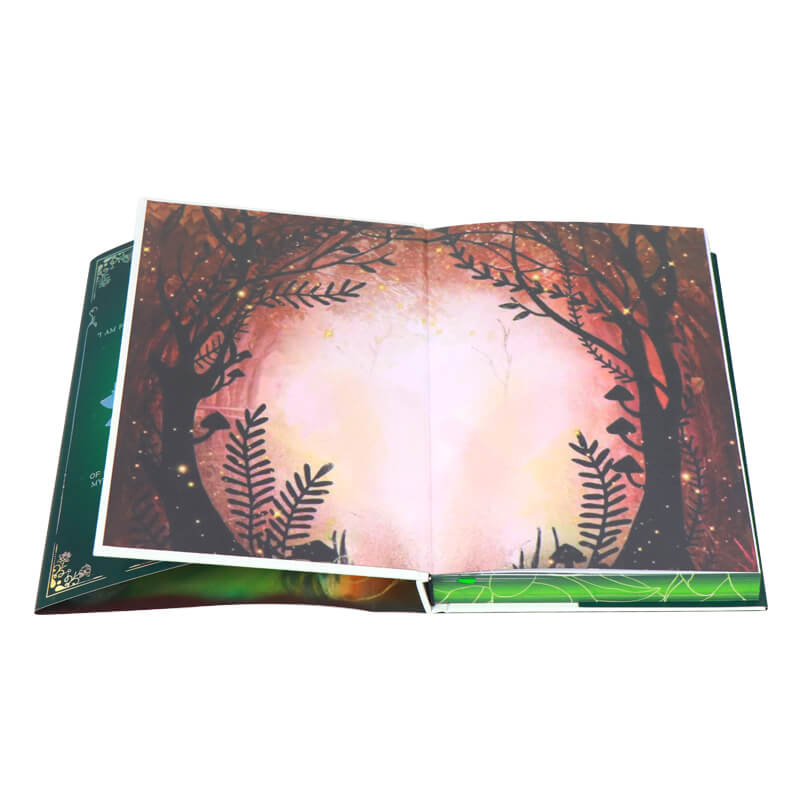 Special Edition Book with Sprayed Edge and Laser Foil Dust Jacket 7