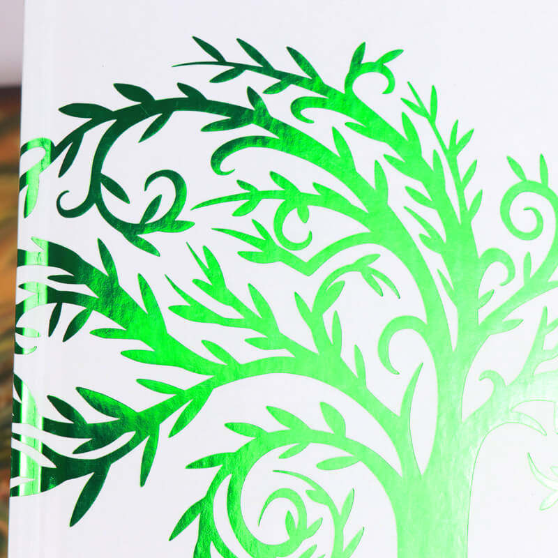 Special Edition Book with Sprayed Edge and Laser Foil Dust Jacket 9