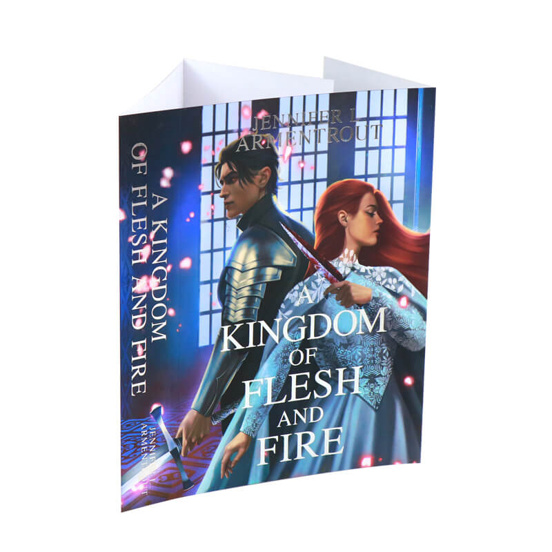 Silver Foiled Dust Jackets for Special Edition Book Protector 6