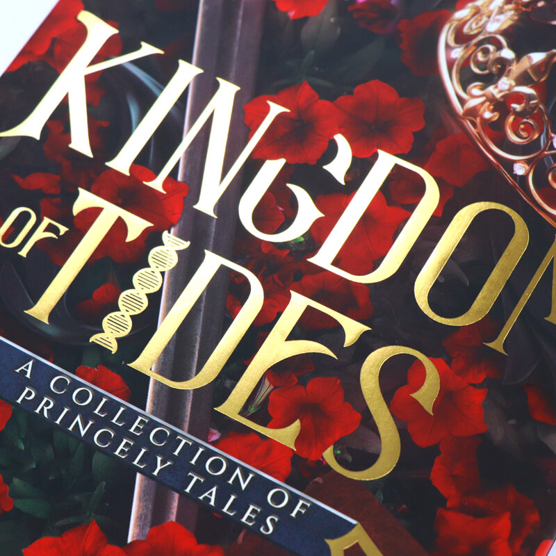 Hardcover Book with Sprayed Edges and Colour Illustration Pages 10