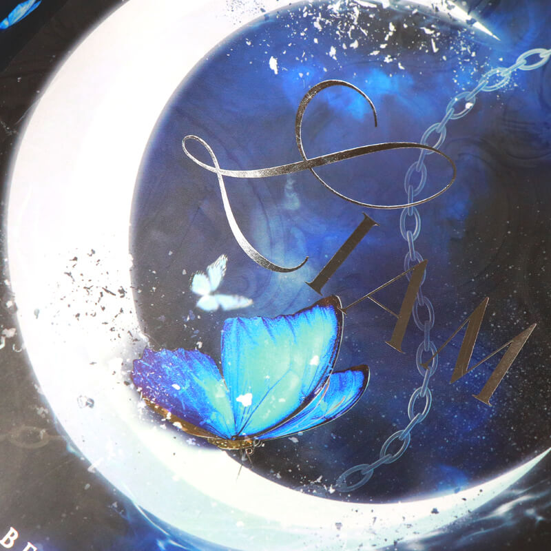 Printing Glossy Art Paper Dust Jacket with Silver Foil on Cover 8