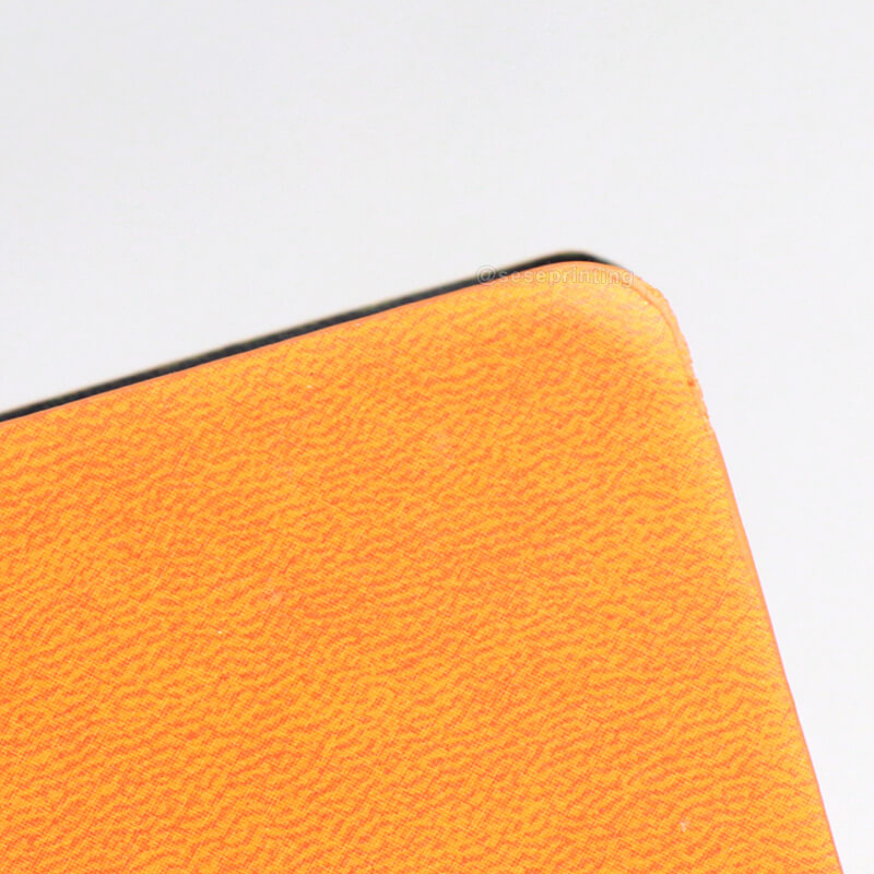 Leather Debossed Cover Daily Wellness Journal Notebook Printing 9