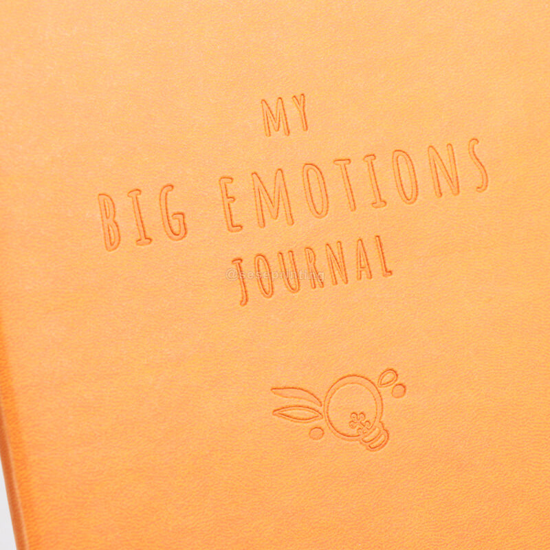 Leather Debossed Cover Daily Wellness Journal Notebook Printing 8