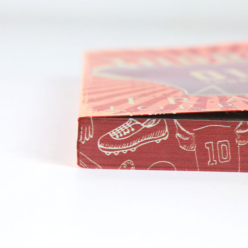 Special Edition Book Series Paperback Novels with Sprayed Edges 10