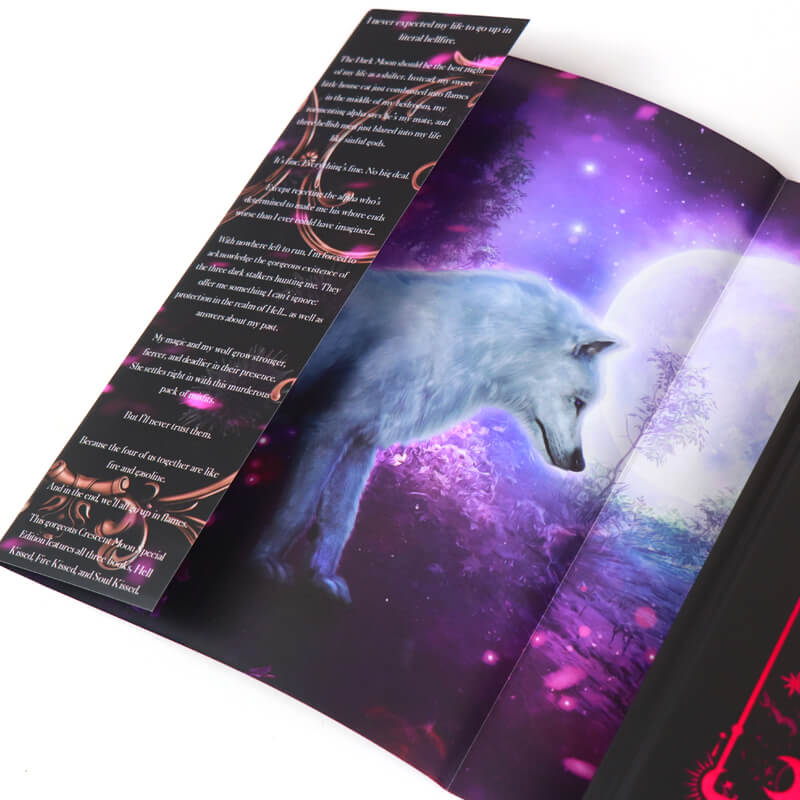 Special Edition Hardbacks with Foil Dust Jacket and Stenciled Edges 10