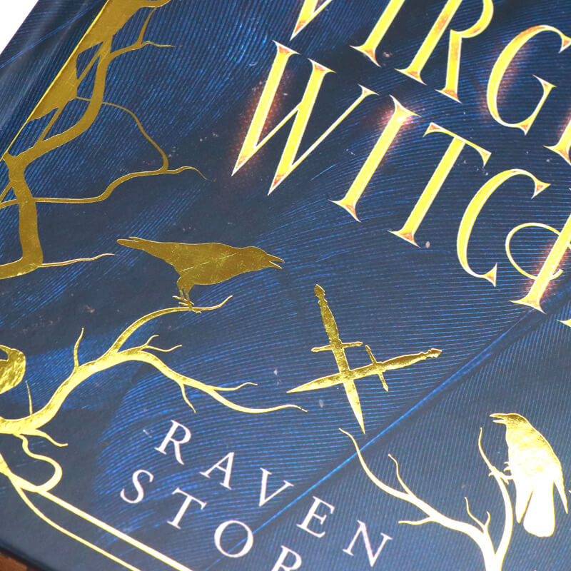 Hardcover Special Edition Fantasy Book Printing Image Sprayed Edges 9