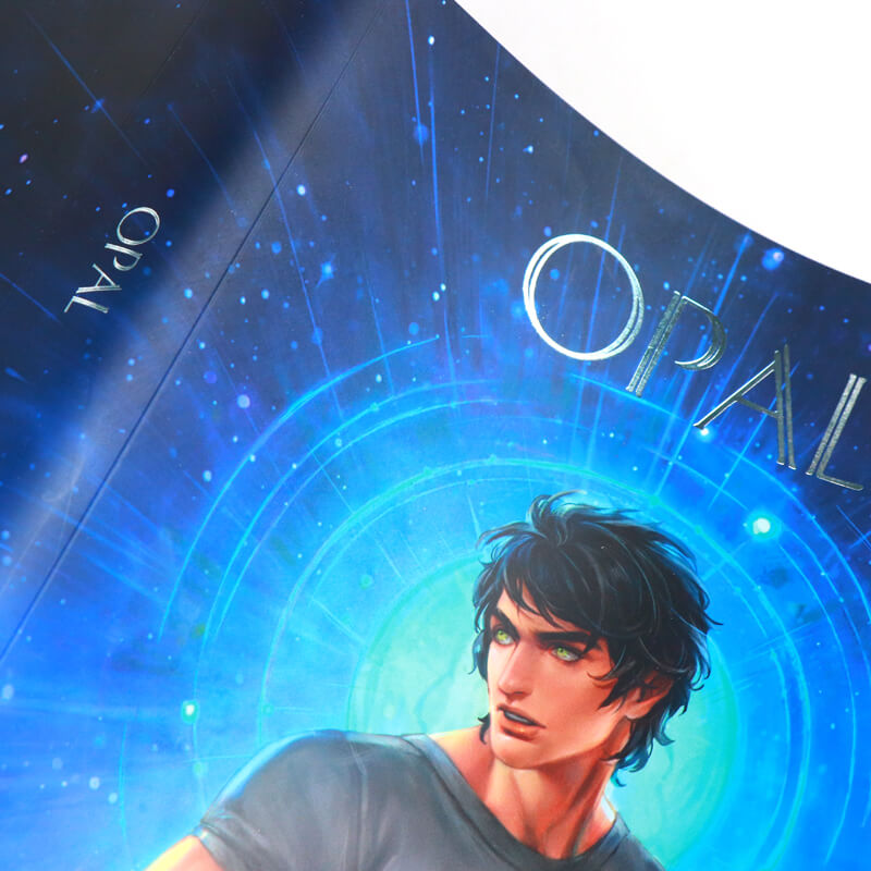 Double Sided Printing Book Dust Jackets with Silver Foil Logo 8