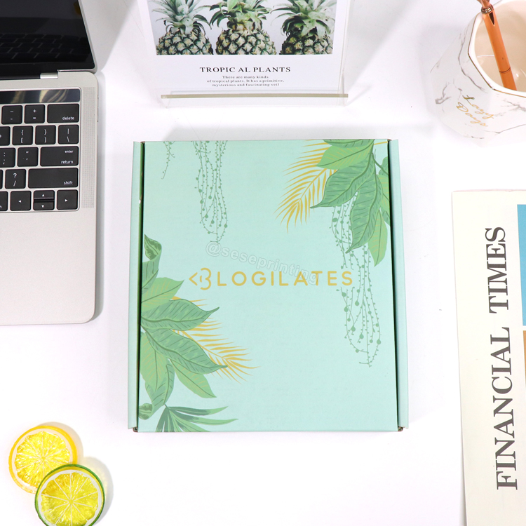 Free Sample Mailer Box Printed Corrugated Shipping Packaging Paper Box 6