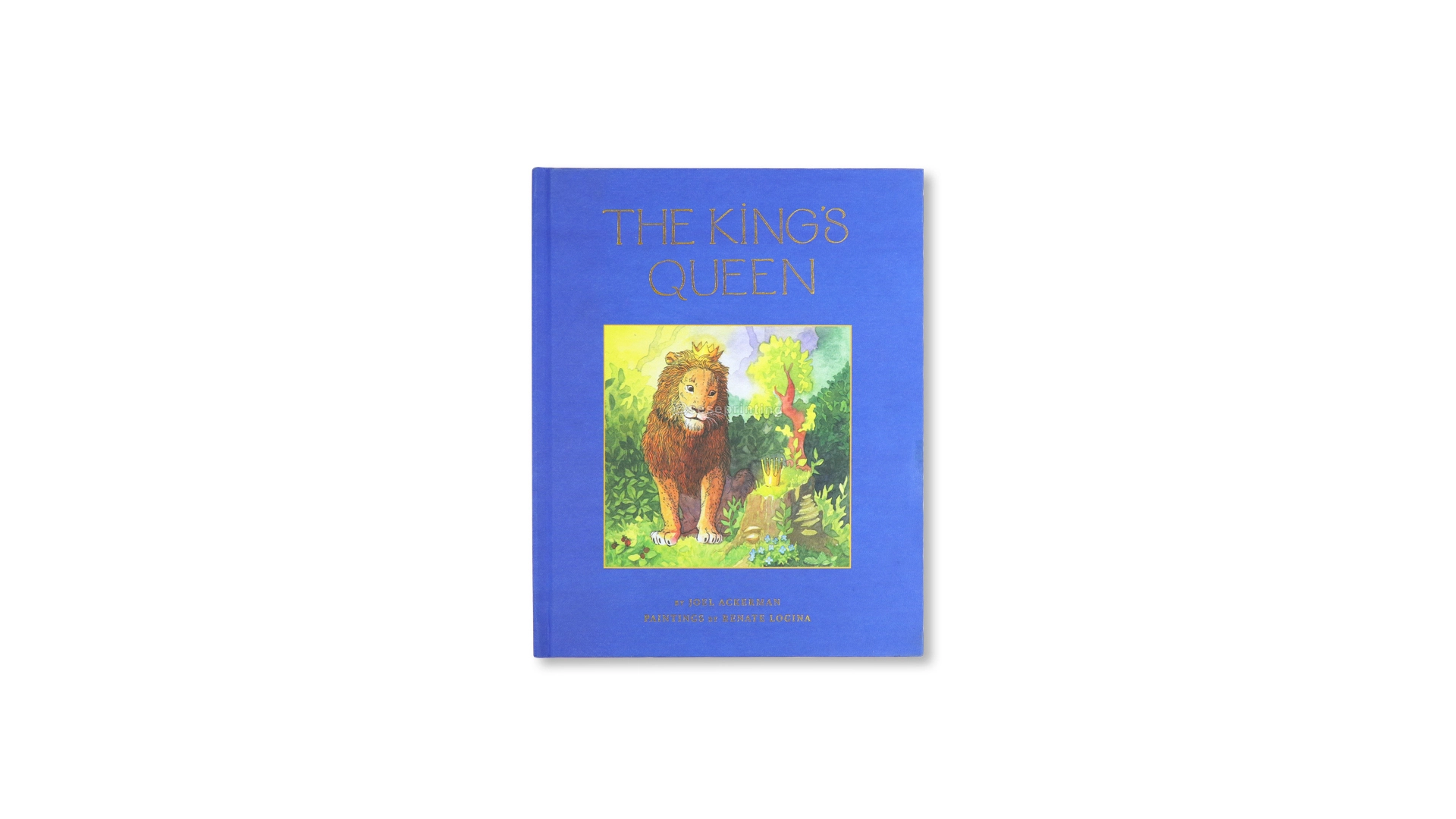 Custom Hardcover Kids Animal Book Children Book Printing Service 1