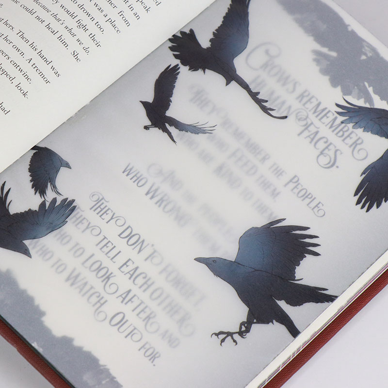 What Does the Process of Sprayed Edges Book Include? 19