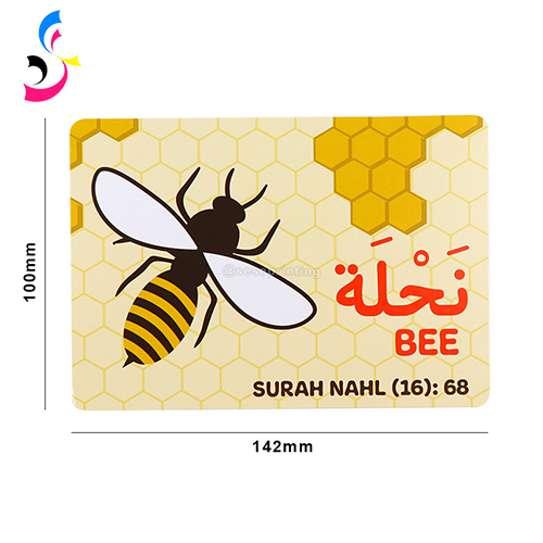 Where to Print Flashcards? | sese printing 4