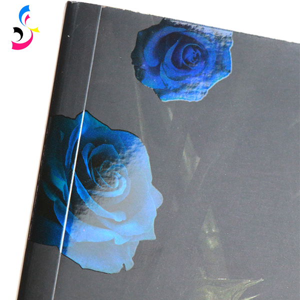 The Variety of Finishes Available for Softcover Books Printing 4