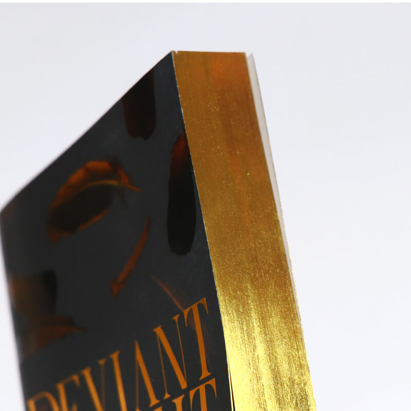 Spot UV Cover Paperback Novel Printing with Gold Sprayed Edges 10