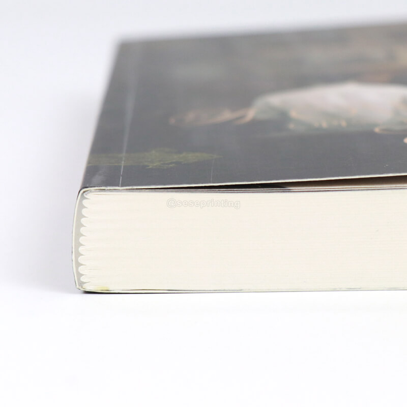 Create My Own Romance Novels Full Color Printing Paperback Book 9