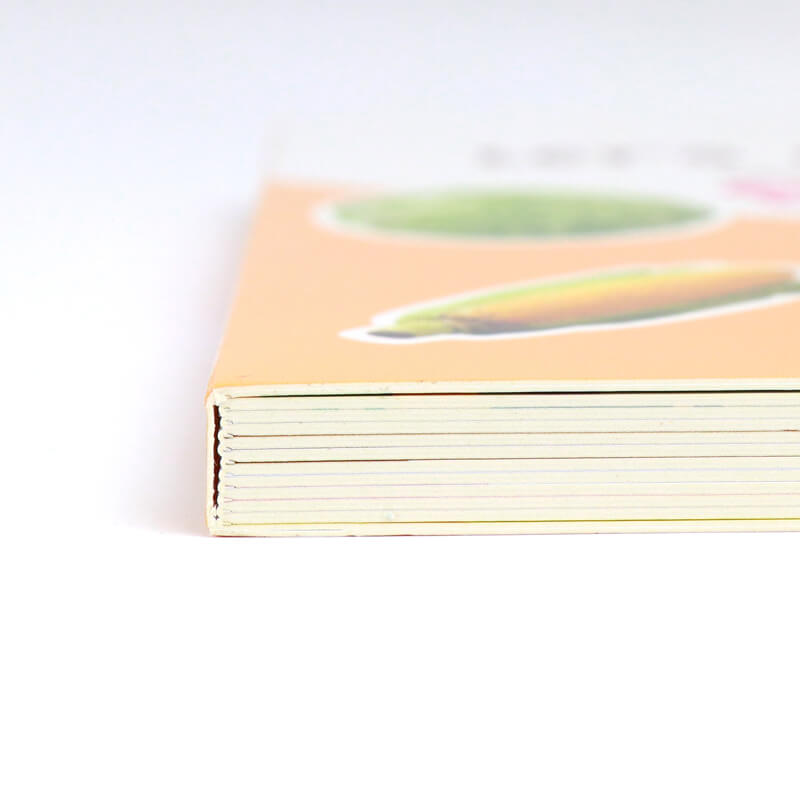 Custom Your Own Children's Board Book Printing Baby Learning Book 10