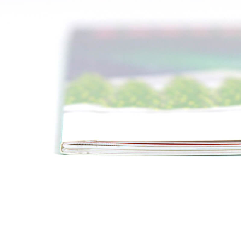 Paperback Childrens Books Full Color Printing Kids Picture Book 9