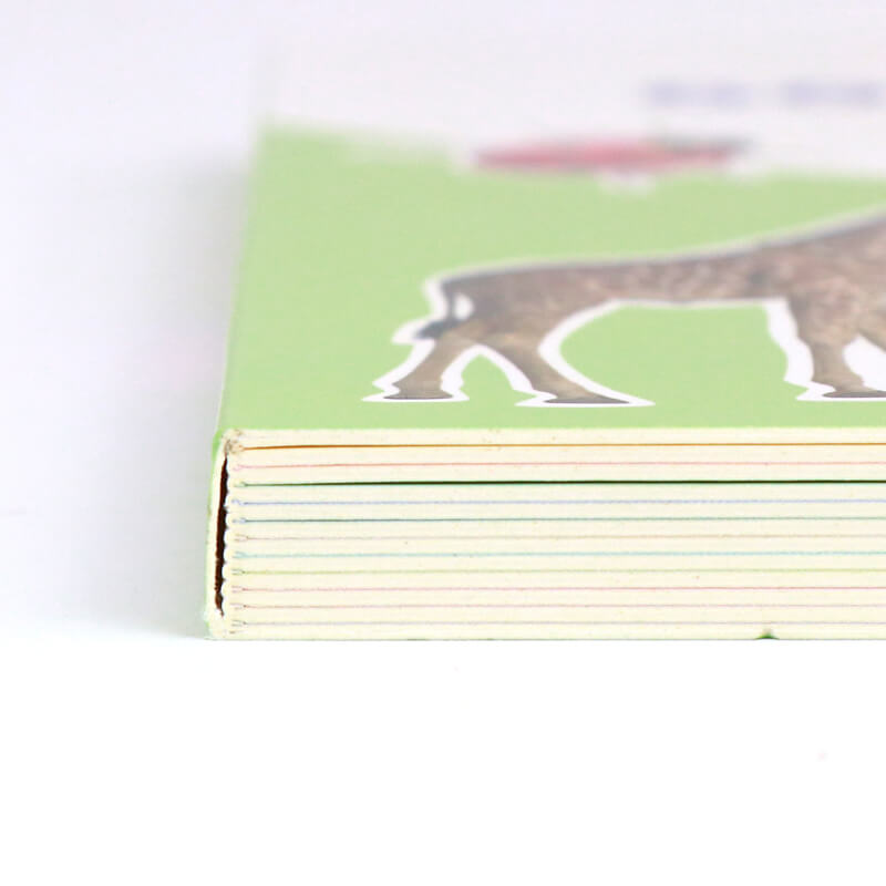 Children Books Printing Baby Learning Story Board Book for Kids 9