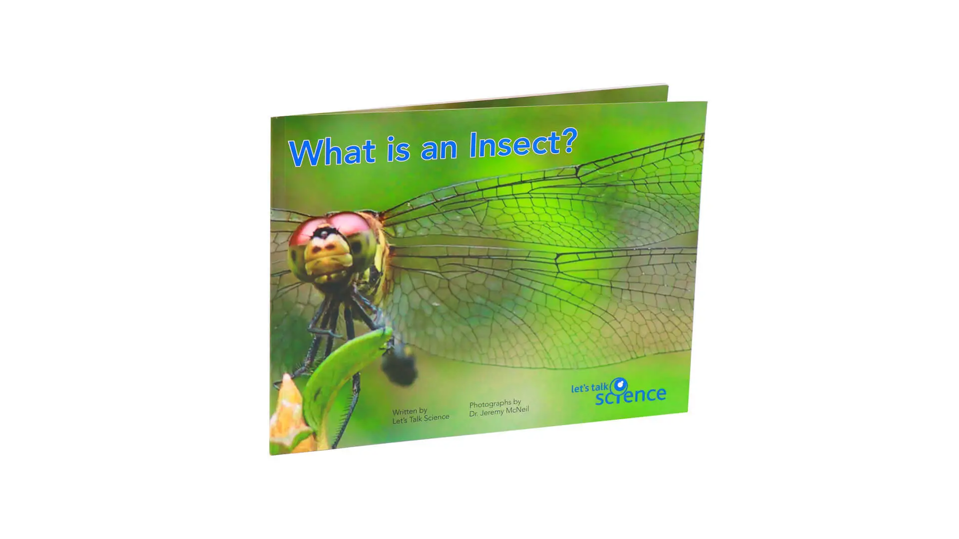 Preschool Children Reading Insect Book Printing Paperback Kids Book 1