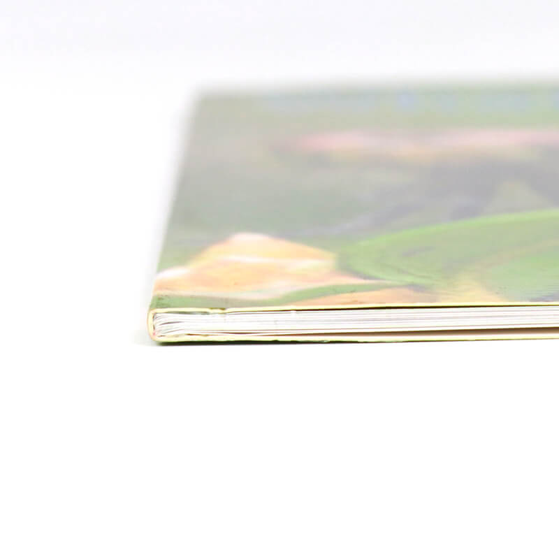 Preschool Children Reading Insect Book Printing Paperback Kids Book 9