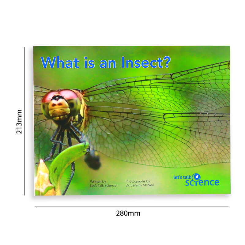 Preschool Children Reading Insect Book Printing Paperback Kids Book 6
