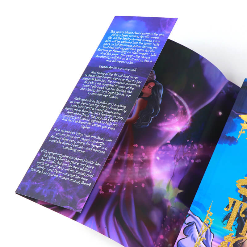 Hardcover Books with Sprayed/Stenciled Edges and Foil Dust Jackets 9