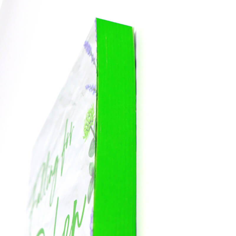 5*8 Softcover Novel Book Printing with Foiling and Sprayed Edges 9