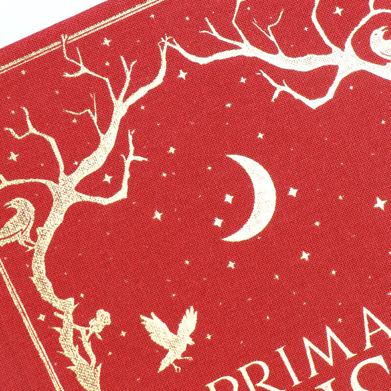 Black Interior Pages White Ink Printing Cloth Hardcover Book with Sprayed Edges 10