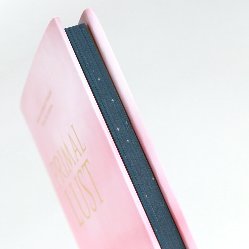 Black Pages with White Ink Printing Hardcover Book Series with Sprayed Edges 11