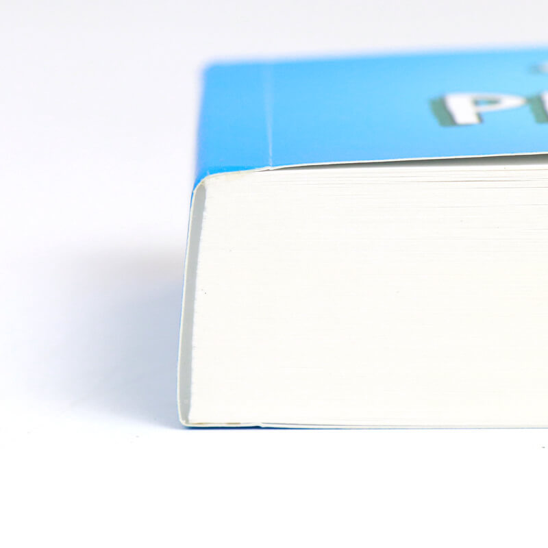 Custom Softcover Children Kids Story Flipbook Printing Services 9