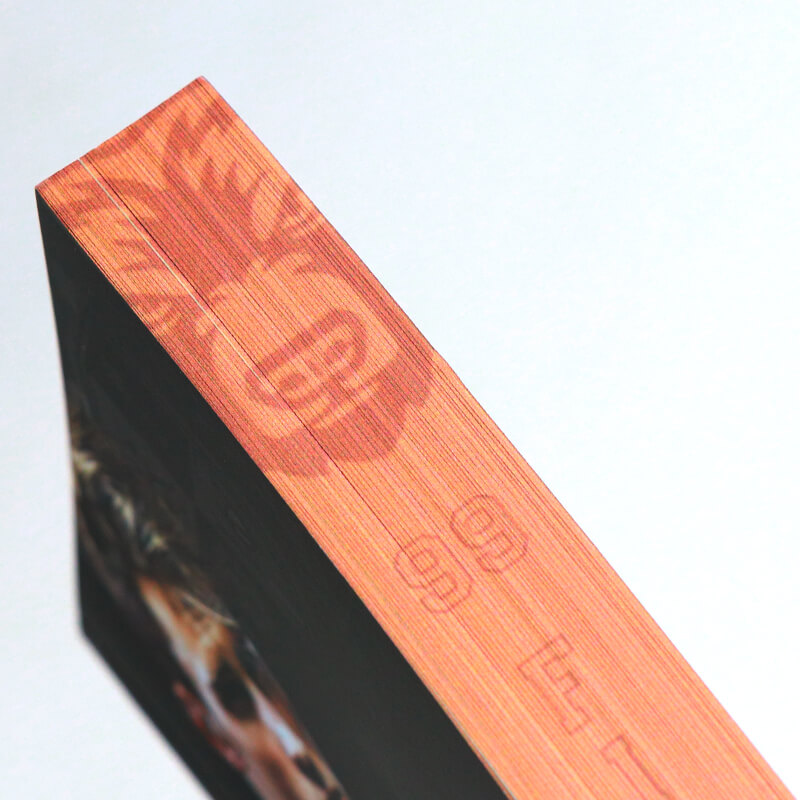 5*8 Inch Paperback Book with Foil on Cover and Sprayed Edges 9