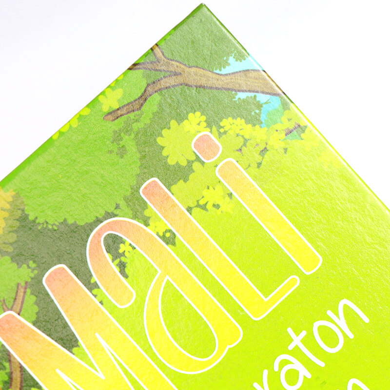 Kids Books Printing Services Full Color Hardcover Children Book 8