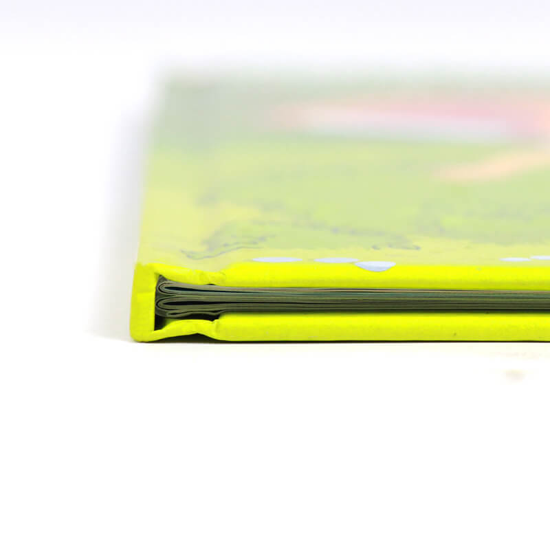 Kids Books Printing Services Full Color Hardcover Children Book 9