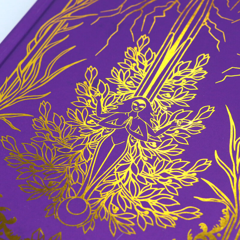 Gold Foil Stamped Hardcover Book Printed Color End Pages and Sprayed Edges 9