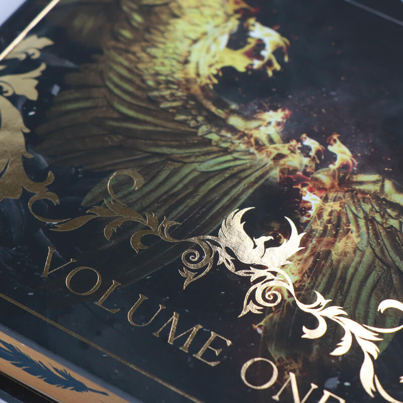 Foil Hardcover Fiction Novels Printed End Pages and Sprayed Edges 9