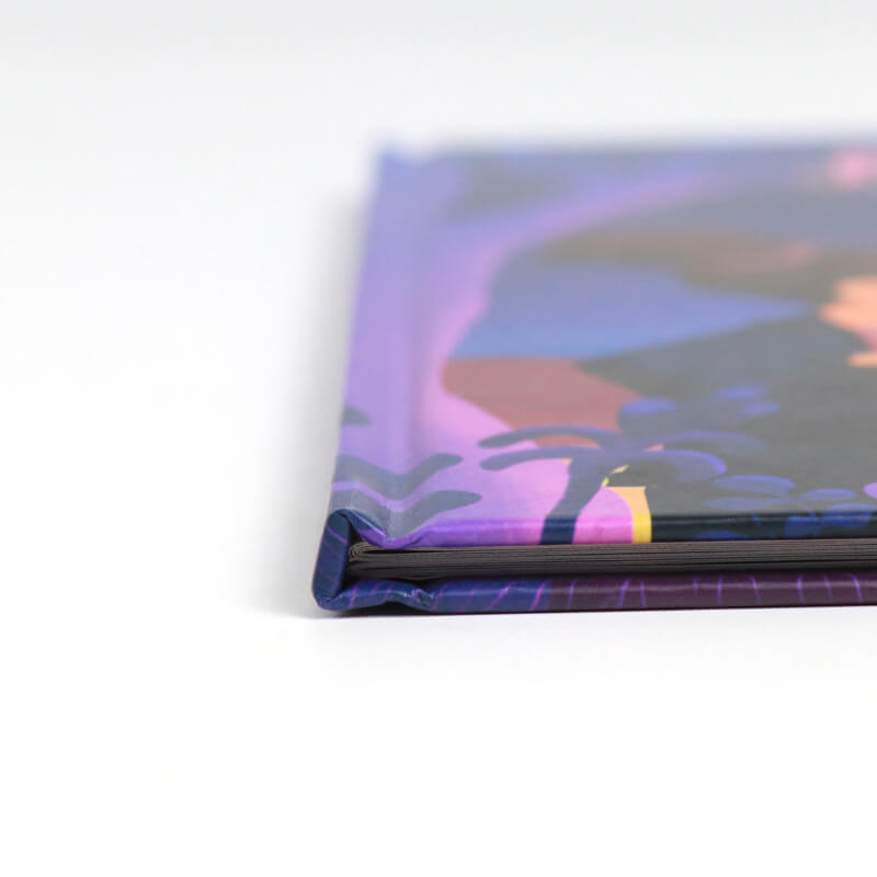 Book Printing Services Full Color Childrens Book with Hardcover 9